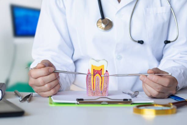 Best Emergency Tooth Extraction in Warren Af, WY